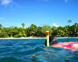 Thirs place winner in 2014: Snorkeling at Barefoot Island in Fiji by Hannah Kunz
