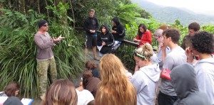 rainforest teaching