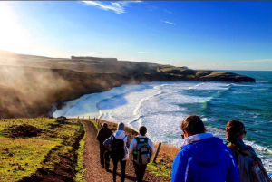 "Otago Peninsula” by Michala Garrison, via an Instagram submission from @heymickie_, traveling on the New Zealand Sustainability program in 2015, from Frostburg State University