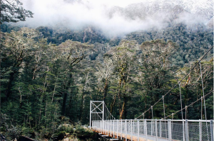 "Would rather be walking a mile across this bridge in the most beautiful place in the world (Mount Aspiring National Park)” by Sarah Coleman, traveling on the New Zealand: Sustaining Humans and their Environment program in 2015-2016, from the University of Florida