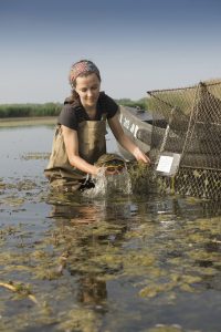 Photo of Amanda Carter with AWC turtle project