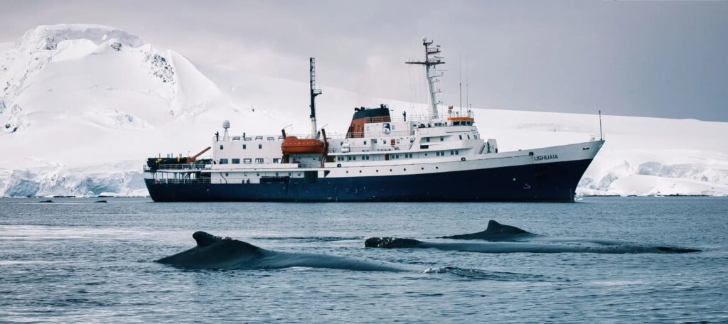 The M/V Ushuaia ship in front of snow covered mountains with humpback whales breaching in the foreground