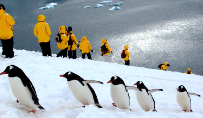 Faculty-led and customized study abroad in Antarctica