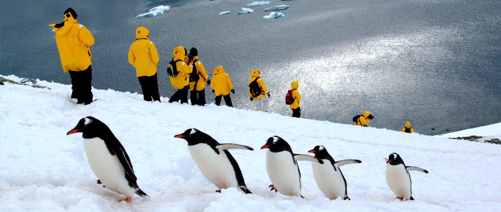 Faculty-led and customized study abroad in Antarctica