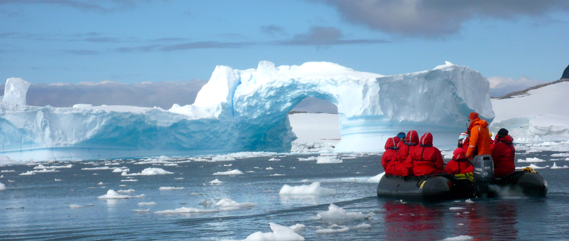 Surveying Icebergs