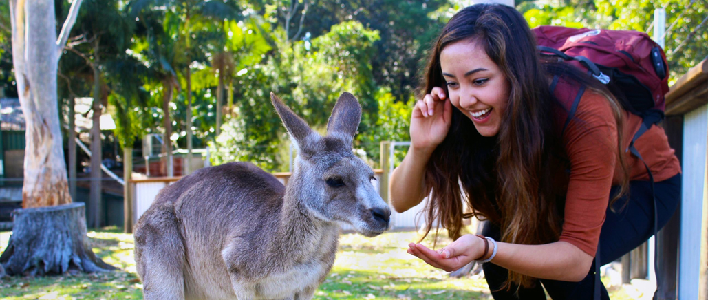 Faculty-led and customized study abroad in Australia