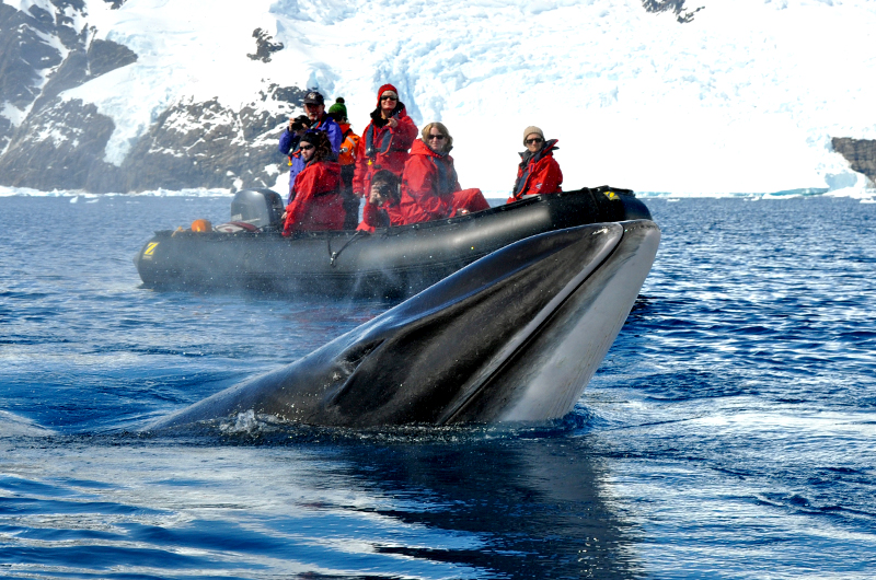 AUIP study abroad in Antarctica