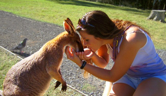 Buckeyes in Australia