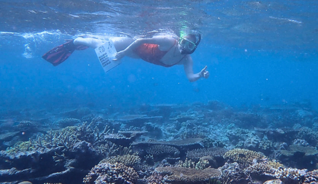VT student snorkelling at the Great Barrier Reef