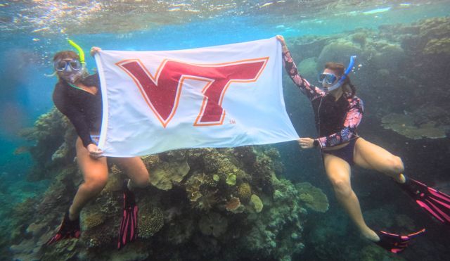 Students snorkelling at the Great Barrier Reef with VT flag.