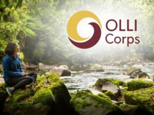 ASU OLLI in New Zealand